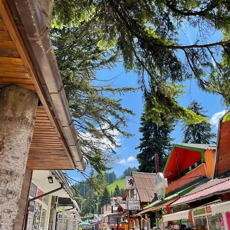 Pine Tree Studio, Gardens Borovets