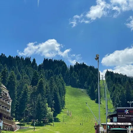 Pine Tree Studio, Gardens Borovets