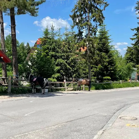 Appartement Pine Tree Studio, Gardens Borovets