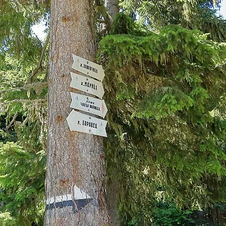 Appartement Pine Tree Studio, Gardens Borovets