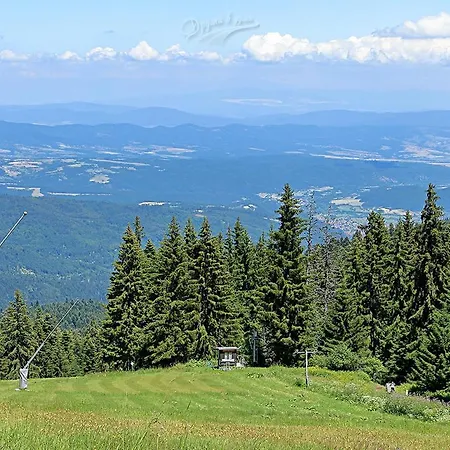 Pine Tree Studio, Gardens Appartement Borovets