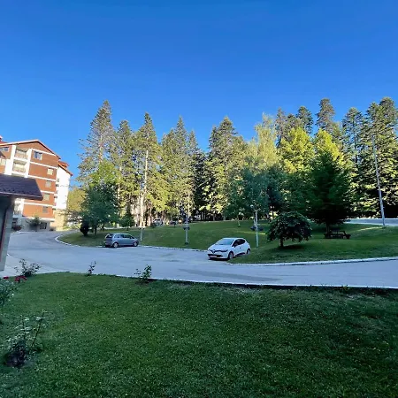 Pine Tree Studio, Gardens Borovets